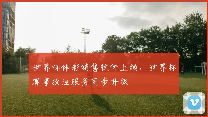 世界杯体彩销售软件上线，世界杯赛事投注服务同步升级